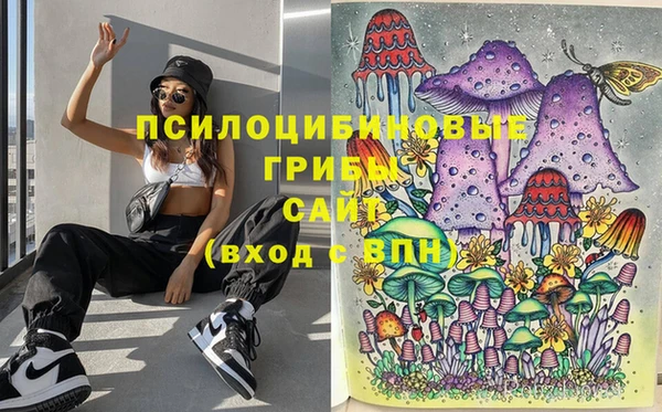 Альфа ПВП Аркадак