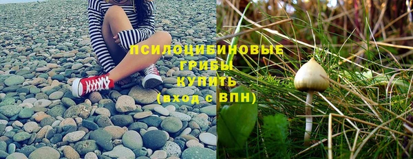 Альфа ПВП Аркадак