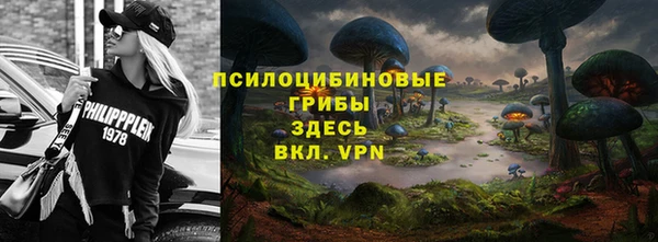 Альфа ПВП Аркадак